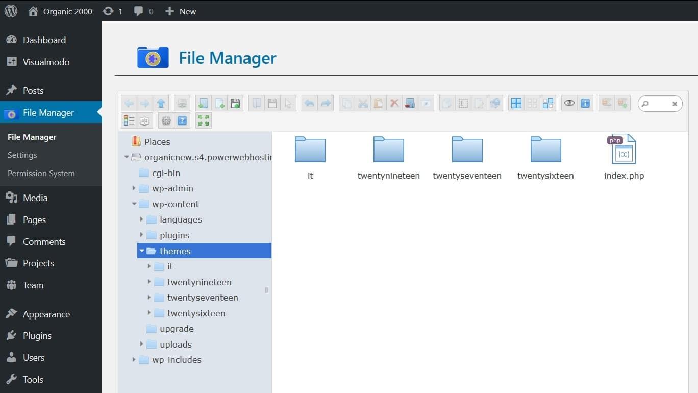 wp-content themes folder in File Manager